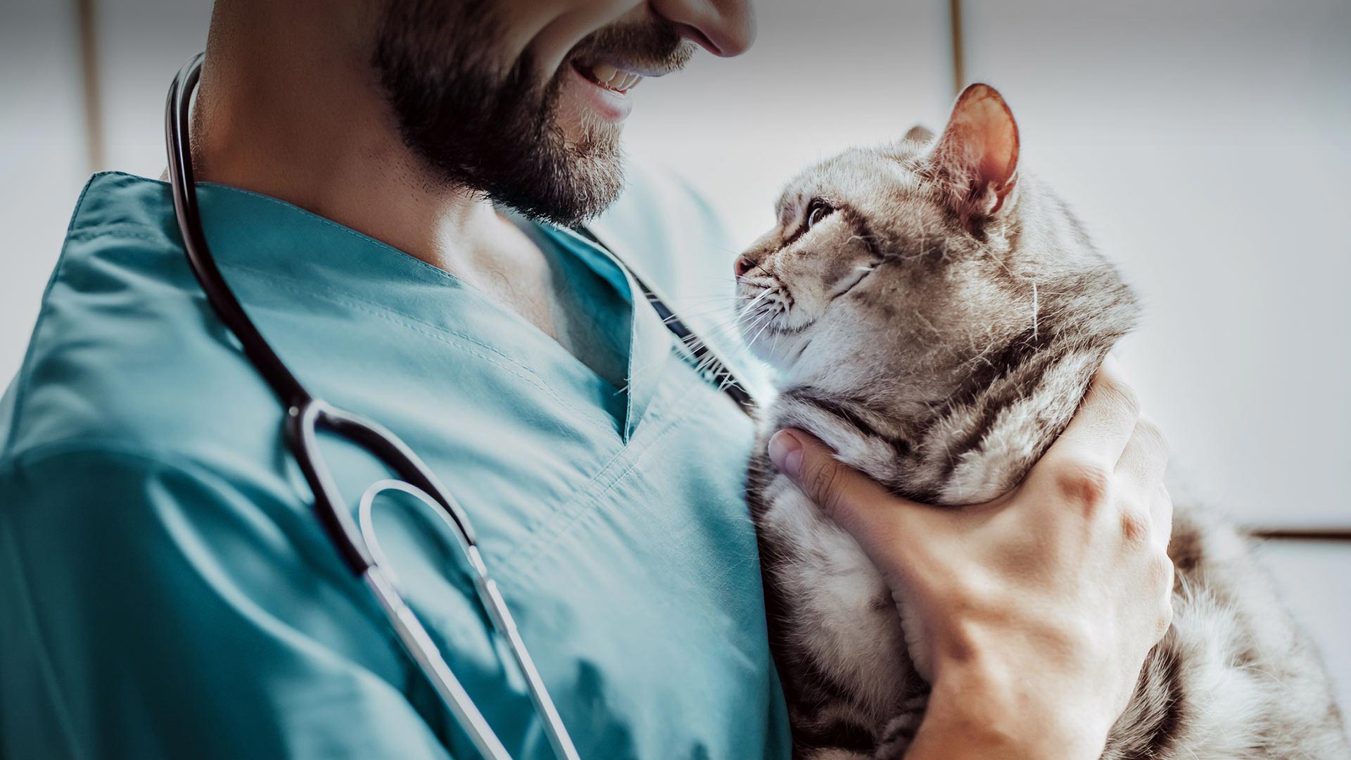 Güngören Veteriner